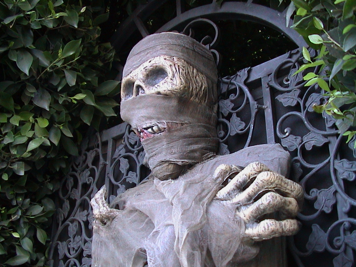 • Death, Life and Gnosis